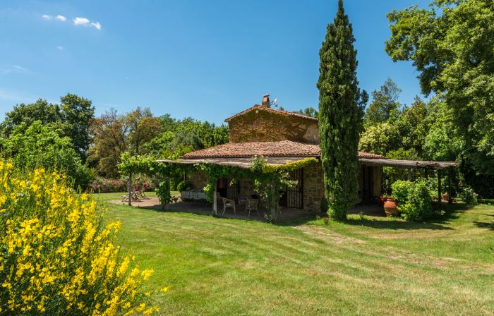 Ginestra