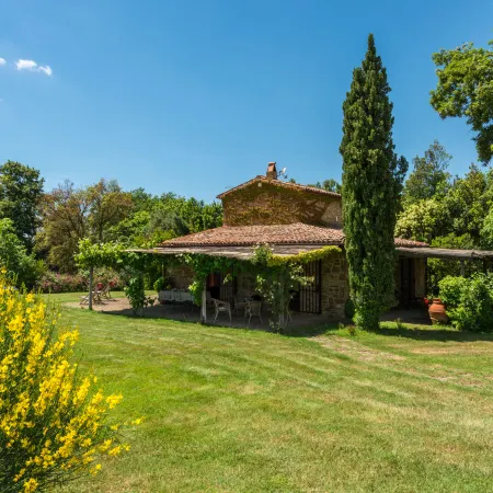 Ginestra
