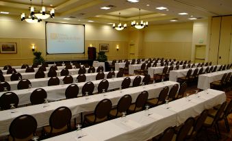 a large conference room with rows of chairs arranged in a semicircle , and a projector screen mounted on the wall at Hilton Garden Inn Albany