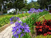 KRS Pines Guest House Cameron Highlands