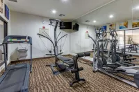 Comfort Inn & Suites - Gym
