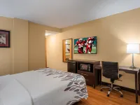 Red Roof Inn Des Moines Hotels in Saylor