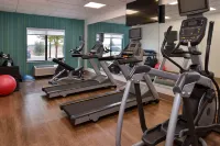 Holiday Inn Express & Suites PUEBLO NORTH by IHG - Gym