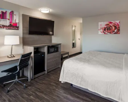 SureStay Hotel by Best Western Findlay Hotels in Findlay