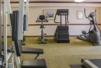 Quality Inn & Suites Detroit Metro Airport - Gym