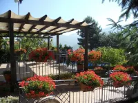 Agriturismo la Casa Del Ghiro - Yüzme Havuzu