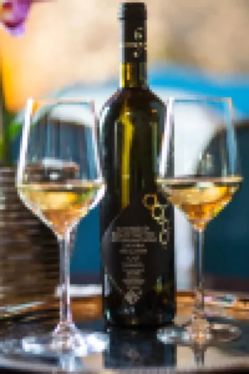 Heritage Hotel Pasike