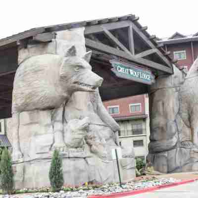 Great Wolf Lodge Grapevine Hotel Exterior