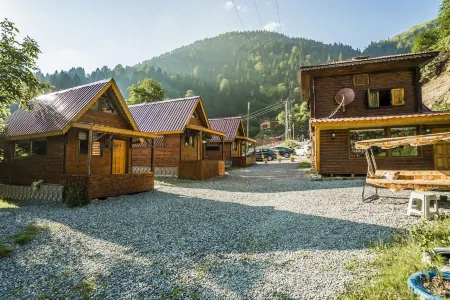 Ayder Selale Dag Evi Отели в г. Yukarisimsirli Koyu