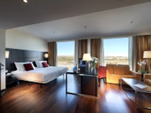 薩拉戈薩歐洲之星酒店 薩拉戈薩省酒店