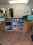 6 on Adams Hotels in Mount Maunganui