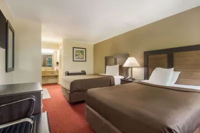 Suburban Studios Florence - Darlington Hotels in Florence