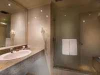 開羅普拉米薩 酒店 鄰近埃及現代美術館的酒店