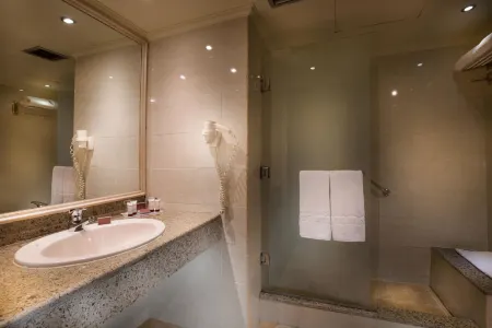 Pyramisa Suites Hotel Cairo