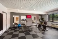 Red Roof Inn & Suites Lexington – Hamburg