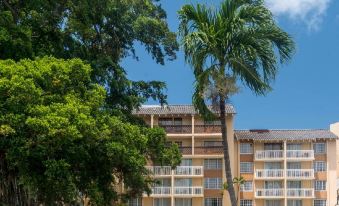 a large building with a tall tree in front of it , surrounded by palm trees at Divi Southwinds Beach Resort