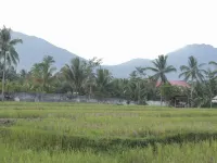 Pesona Java Ijen Homestay Hotels in Licin