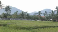 Pesona Java Ijen Homestay Hotels in Ijen