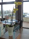 Strand-Hotel