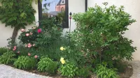 Oppenheim Lofts Hotels near Uhrturmfreunde