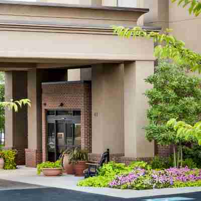 Hampton Inn Harrisonburg-South Hotel Exterior