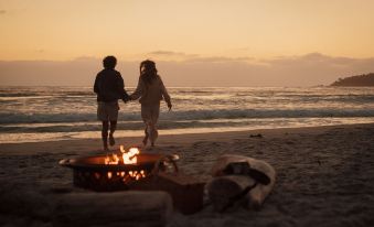 a couple standing on a beach , holding hands and enjoying the sunset with their dog at Hotel Carmel