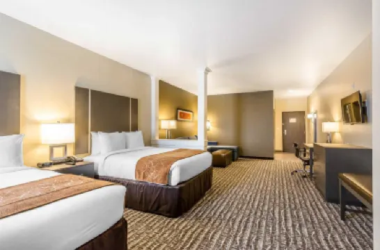 Comfort Suites Near Sam Houston Race Park Hotels in Harris County