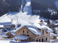 Premium #47 Sauna&Sprudelbad