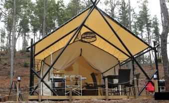 Blacktree camping pension