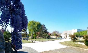 Tenuta Antico Leccio - Housity