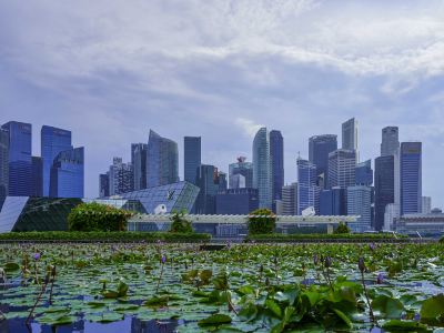 ホテル周辺 スイソテル ザ スタンフォードの写真