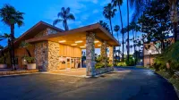 Best Western Pine Tree Motel Hotels in Chino