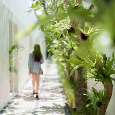 Ayom Suite Hotel Exterior