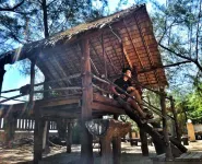 班台士布朗飯店