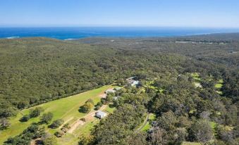 aerial view of a large house surrounded by trees and bushes , with the ocean visible in the background at Karriview