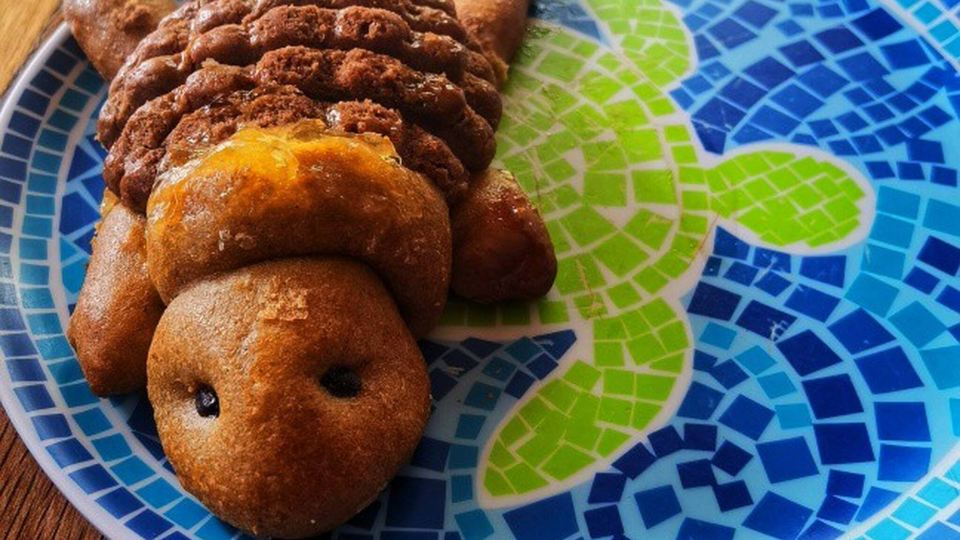 Una Joya Para Dormir En Chapalita