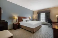 Best Western Rocky Mountain House Inn  Suites - Pet-friendly