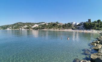 Dominella - Apartment with Pool in Cilento