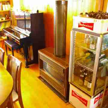 Forest Resort Cosmos Others