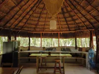 Unique Jungle Dome Ha with Kitchen