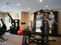 Hampton Inn Murrells Inlet/Myrtle Beach Area - salle de sport
