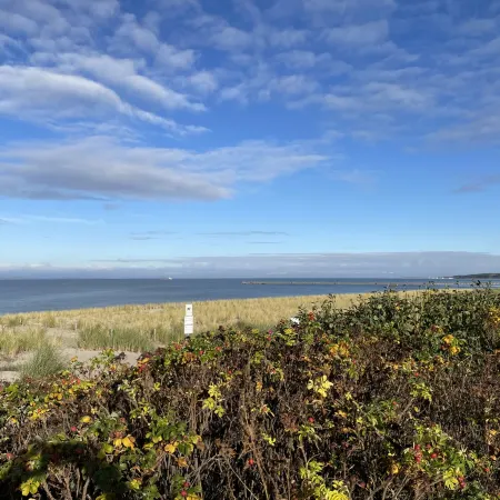 Strandvilla (Lub110)