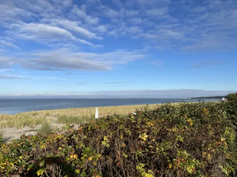 Strandvilla (Lub110)