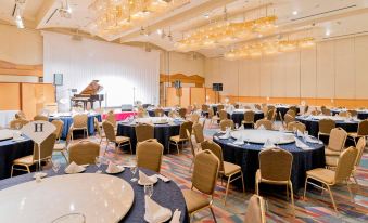 Hotel Castle Plaza - Housity