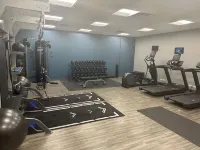 Hampton Inn & Suites by Hilton Ruskin I-75 - Gym