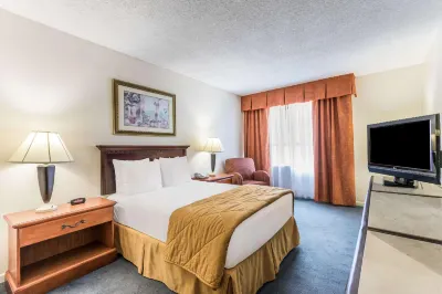Comfort Inn & Suites Downtown Brickell-Port of Miami