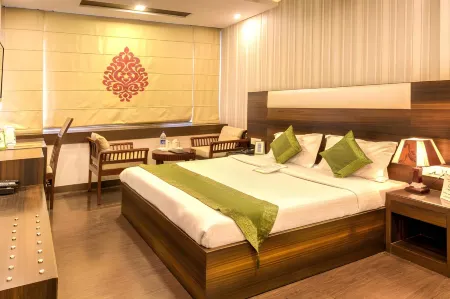 Hotel Dreamland Chandigarh Отели в г. Манимажра