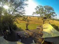 Rhino Walking Safaris