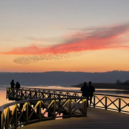 Ferienhaus Altes Fischerhaus