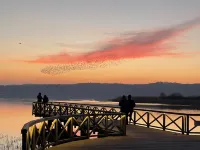 Ferienhaus Altes Fischerhaus